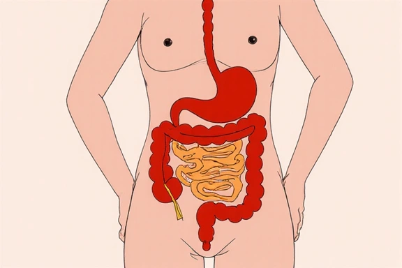 Nutritionist consulting with a client, discussing a personalized meal plan